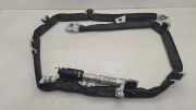 SRS Modul Dach links BMW X3 (E83) xDrive 35 d 1010645150028