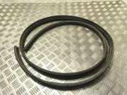 Dichtungsgummi der hinteren Tür (an der Karosserie) FIAT DOBLO MPV (263_) 1.3 D Multijet