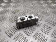 A/C Conditioner Expansion Valve BMW 7 (E65, E66, E67) 730 Ld 64116980211