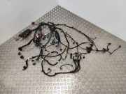 Kabelbaum Renault Grand Scenic IV (R9) 241148160R