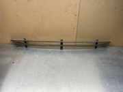 Gitter vorne unten MERCEDES-BENZ S (W220) S 320 CDI (220.026, 220.126) A2208851023