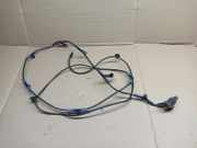 Antenne Dach Mitsubishi Space Star (DG0)