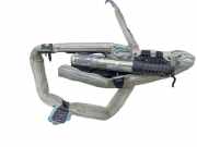 Airbag Dach links BMW 3er Touring (E91) 846966859030