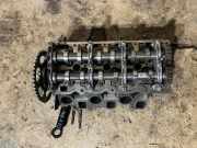 Motorkopf AUDI Q7 (4L) 3.0 TDI quattro 059353EK