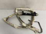 Airbag Dach rechts Mercedes-Benz S-Klasse (W220) 2208600805