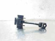 Türanschlag hinten links