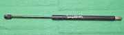 Heckklappe Gasdruckfeder links MERCEDES-BENZ C (W204) C 200 CDI (204.007, 204.006)