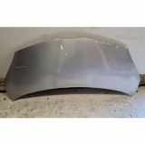 Motorhaube TOYOTA AYGO (_B4_) 1.0 (KGB40_)
