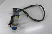 Kabelbaum Renault Laguna III Grandtour (T) 241510007R