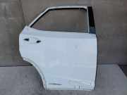 Tür links hinten Lexus RX 4 (L2)