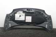 Motorhaube Fiat 500 (312)