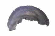 Radhaus links hinten Porsche Cayenne 2 (92A) 7P5810971B