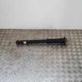 Stoßdämpfer links hinten Lexus IS 3 (E3) 4853053350