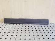 Zierleiste Ford Transit Connect (P*2) AM51R13200ACW
