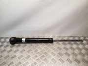 Stoßdämpfer hinten links AUDI A5 Sportback (8TA) 3.0 TDI quattro 19171623