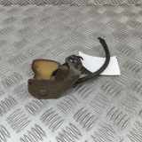 Antenne AUDI A4 (8W2, B9) 2.0 TDI quattro 920-391-011 4M0035507