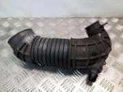 Andere Röhren AUDI A4 (8EC, B7) 2.0 TDI 8E0129615J