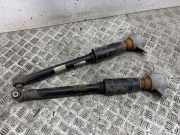 Stoßdämpfer hinten links AUDI S4 Avant (8W5, 8WD, B9) 3.0 TDI 8W0513035AJ