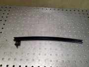 Glasschiene der hinteren Tür