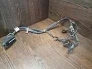 Kabelbaum IVECO DAILY IV Flatbed 35C13, 35C13 /P, 35S13 D, 35S13, 35S13 /P 6029005098