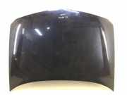 Motorhaube RENAULT LAGUNA II Grandtour (KG0/1_) 2.0 16V IDE (KG0N) K1400