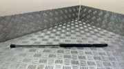 Heckklappe Gasdruckfeder rechts LAND ROVER RANGE ROVER EVOQUE Cabrio (L538) 2.0 D 4x4 BJ32406A10AB