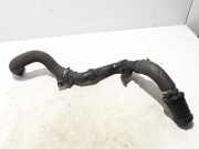 Schlauch für Luftversorgung Renault Trafic III Kasten (FG) 144601915R