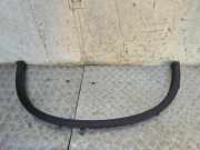 Verbreiterungssatz Kotflügel rechts hinten BMW X6 (E71, E72) 7176330