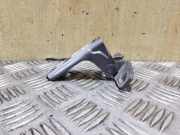 Türscharnier vorne rechts