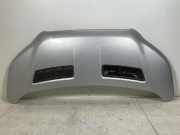 Motorhaube FORD TRANSIT 2.0 TDCi 2485550