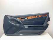 Türpolster vorne rechts MERCEDES-BENZ SL (R230) 500 (230.471) 2307204070 A2307204070