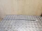 Andere Aufbauteile BMW X3 (F25) xDrive 20 d 7205899 51217205899