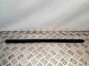 Türfensterleiste hinten links