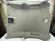 Dachverkleidung CADILLAC CTS 2.6 10109920 HLSTD320GRY