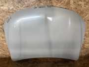 Motorhaube FIAT FULLBACK Pick-up (502_, 503_) 2.4 D 4x4