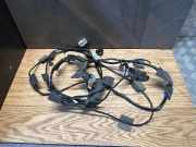 Kabelbaum Kia Sportage 2 (JE, KM) 918003U820