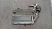Luftfilterkasten FIAT DOBLO Cargo (223_) 1.3 JTD 16V Multijet 51816590