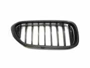 Gitter Grill vorne rechts BMW 5 (G30) M 550 i xDrive