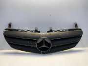 Vorderer oberer Gitter MERCEDES-BENZ R-CLASS (W251, V251) R 320 CDI 4-matic (251.022, 251.122) 2518880023