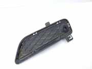 Gitter vorne unten BMW X3 (F25) xDrive 30 d 7249596