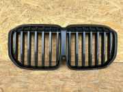Vorderer oberer Gitter BMW X7 (G07) xDrive 40 i C04401
