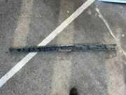 Schwellerhalter vorne links BMW X5 (E70) xDrive 30 d 7207195