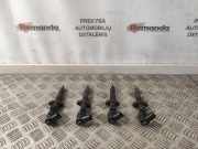 Einspritzventil Set RENAULT MASTER II Furgon (FD) 2.5 dCi 120 8200146357