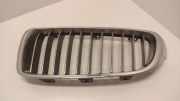 Vorderer oberer Gitter BMW 4 Gran Coupe (F36) 420 d xDrive
