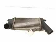 Ladeluftkühler PEUGEOT 307 (3A/C) 2.0 HDi 110 96366353