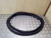 Türgummi links vorne VW Passat B7 (362) 3C4867911B