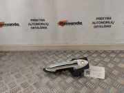 Türaußengriff links HYUNDAI ix20 (JC) 1.6 100001293