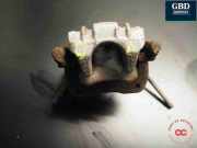 Bremsscheibe links hinten VW Polo V (6R, 6C) 6R0615423