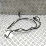 Anzeige Blauer Schlauch FORD TRANSIT V363 Platform/Chassis (FED, FFD) 2.0 EcoBlue KK31-5J249-AB