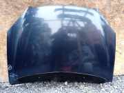 Motorhaube Citroen C5 III (RD)